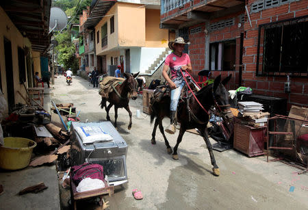 A woman rides his horse along the street at the municipal coliseum after the Colombian government ordered the evacuation of residents living along the Cauca river, as construction problems at a hydroelectric dam prompted fears of massive flooding, in Valdivia, Colombia May 18, 2018. REUTERS/Fredy Builes