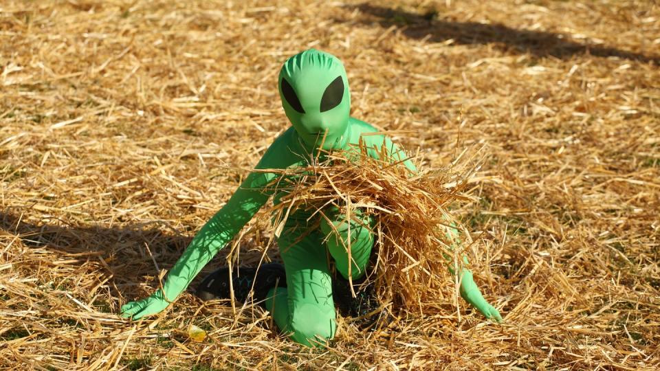 Trotz Alf, E.T. und den Alienfilmen - die Bundesregierung hat keinen Plan für den Kontakt mit Außerirdischen ... Foto: Wolfram Steinberg