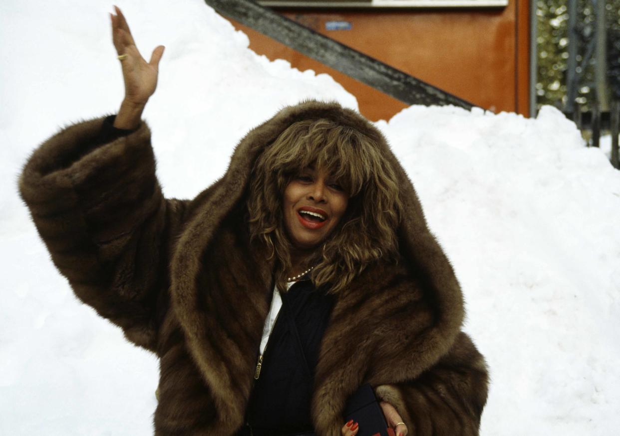 La chanteuse américaine Tina Turner (James Andanson / Getty Images)