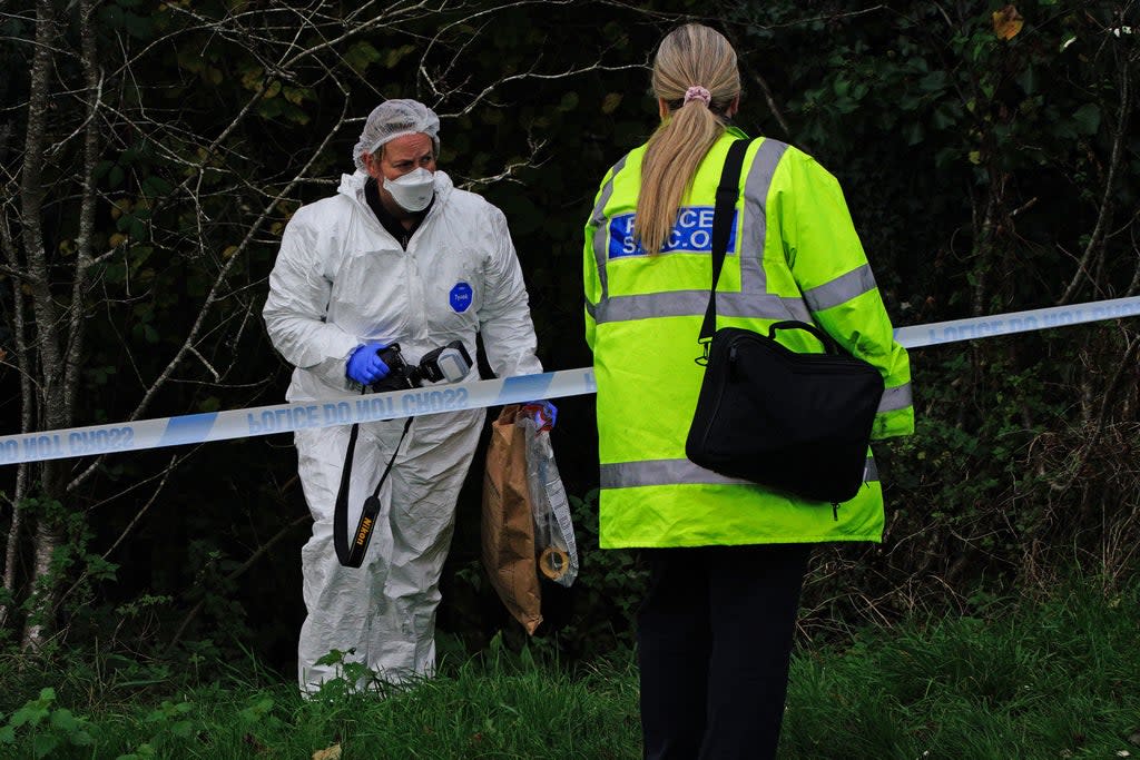 A crime scene investigator searches woodland near Thurlestone Walk (Ben Birchall/PA) (PA Wire)