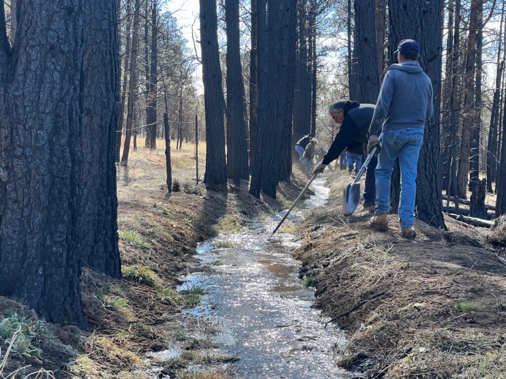 Acequia cleaning in the burn scar April 8