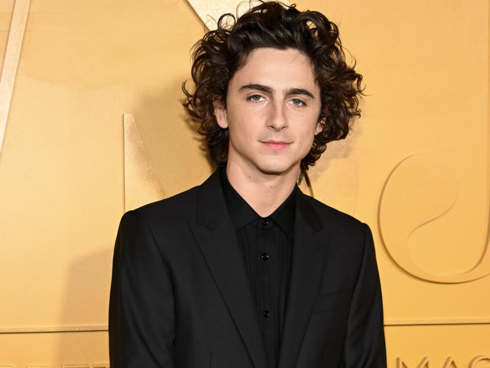 Timothée Chalamet attends the WSJ. Magazine 2023 Innovator Awards sponsored by Harry Winston, Hyundai Motor America, Montblanc, Rémy Martin and Roche Bobois at MoMA on November 01, 2023