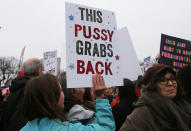 <p>Protesters attend the Women’s March on Washington on January 21, 2017 in Washington, DC. (Mario Tama/Getty Images) </p>