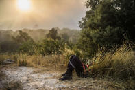 <p>The fire that burned 500 to 600 hectares of forest near Artigues in the Var, threatened homes on Tuesday. The firefighters stopped the progression of the fire that threatened homes in Seillons Source d’Argens on July 25, 2017. (Lilian Auffret/SIPA/REX/Shutterstock) </p>