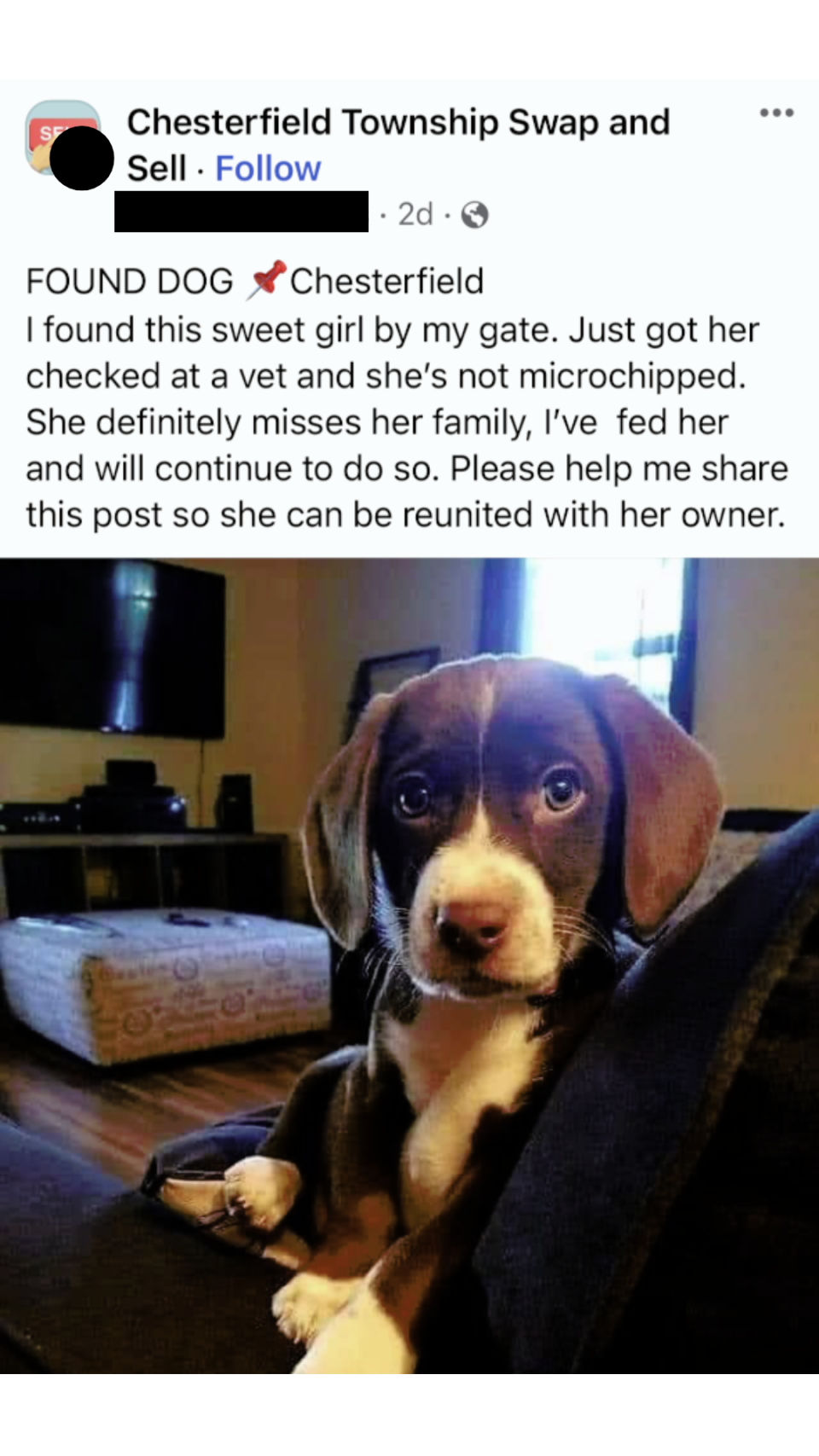 An example of a scam Facebook post using pictures of injured animals as a way to target animal lovers.