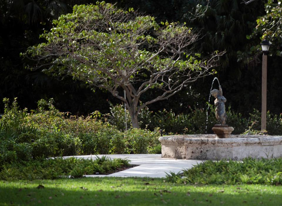 Newly planted vegetation thrives in January as hardscape and landscape improvements are made to Phipps Park Plaza. Work was completed in February.