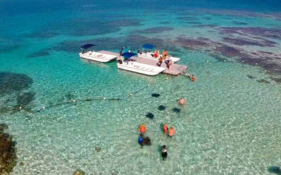 Stingray City Antigua