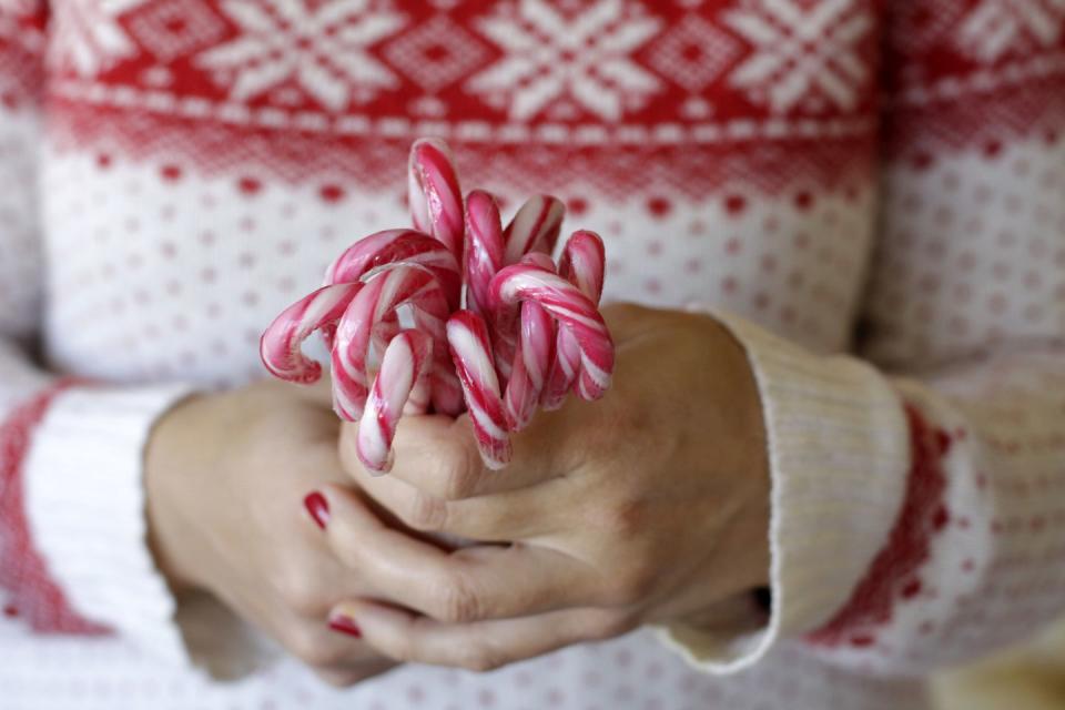 woman hands holding candy canes