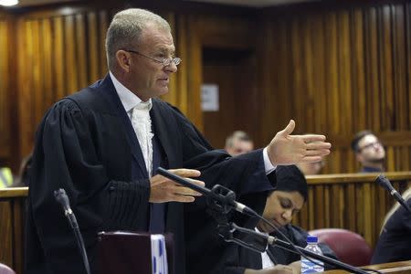 Prosecutor Gerrie Nel speaks in court during a bid by Oscar Pistorius's defence team to challenge the prosecution's right to appeal the culpable homicide verdict handed down to Pistorius in 2014, in the Johannesburg High Court, March 13, 2015. REUTERS/Kim Ludbrook/Pool