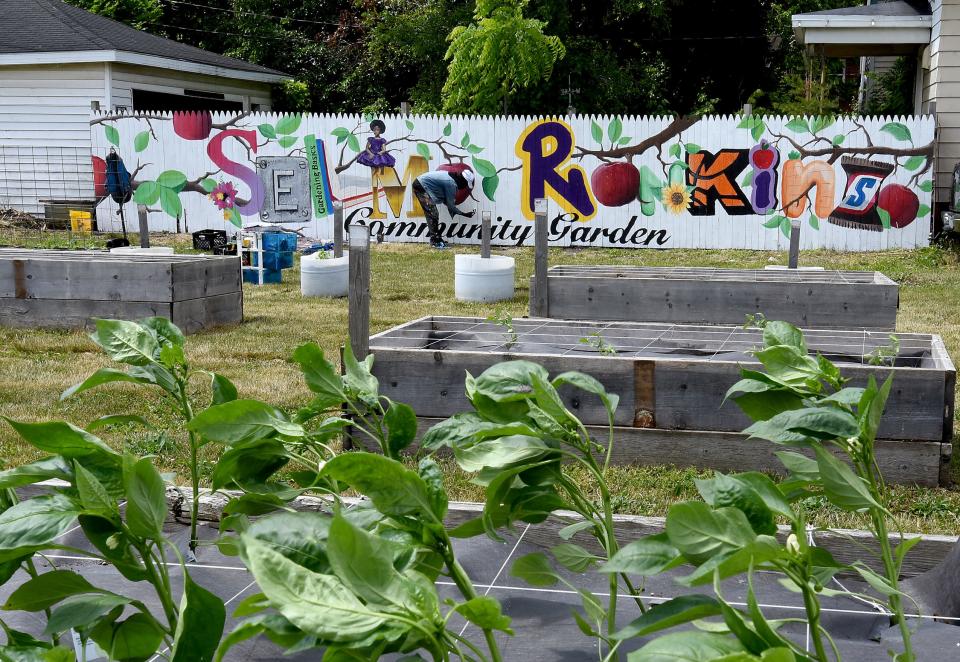 Artist Tony Wavy, formerly from Monroe, now living in Lexington, Ky., works on his mural at the Selma Rankins Jr. Community Garden in the city's Orchard East neighborhood. The garden has grown thousands of pounds of food over the years.