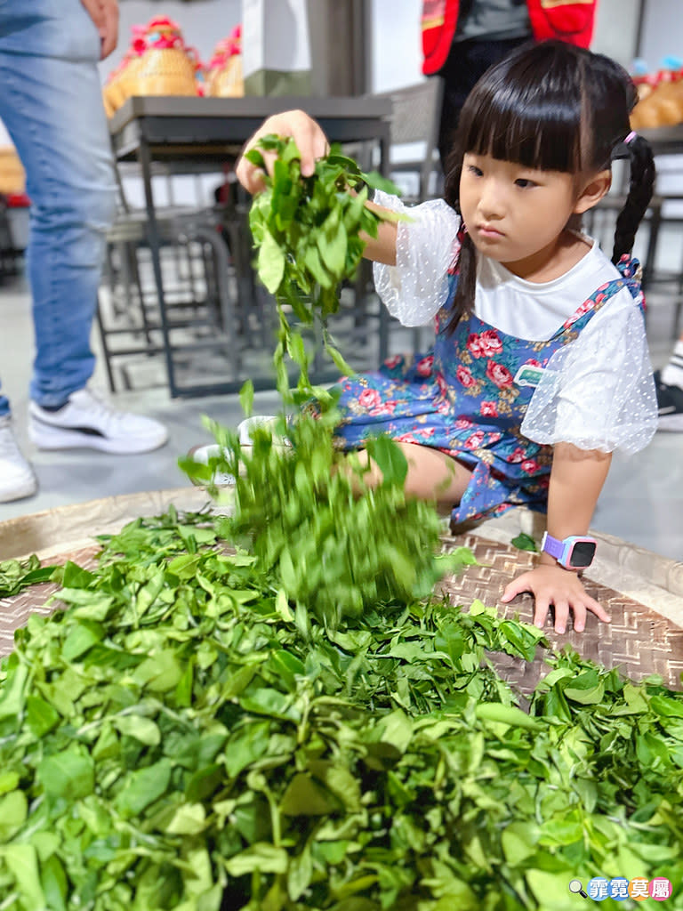 苗栗銅鑼茶廠