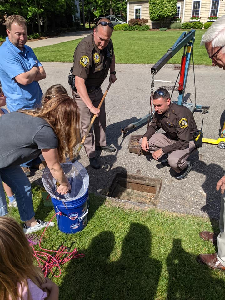 Deputies with the Ottawa County Sheriff's Office scoop out 12 ducklings from storm drain on Tuesday, June 1, in Park Township. Five local girls heard the ducklings peeping in the drain and waited for police to help.