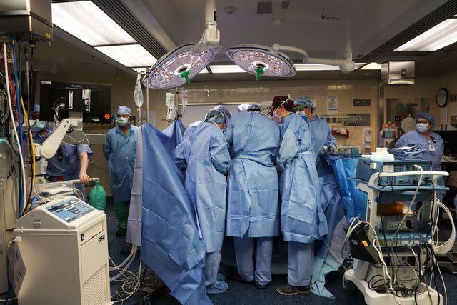 <p>Credit: ï»¿Massachusetts General Hospital</p> Surgeons perform kidney transplant with modified pig kidney at Massachusetts General Hospital