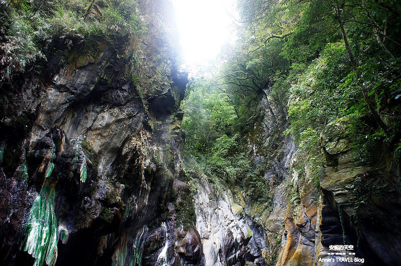 夢幻彩色岩壁山泉，台灣版阿凡達秘境～台東栗松野溪溫泉