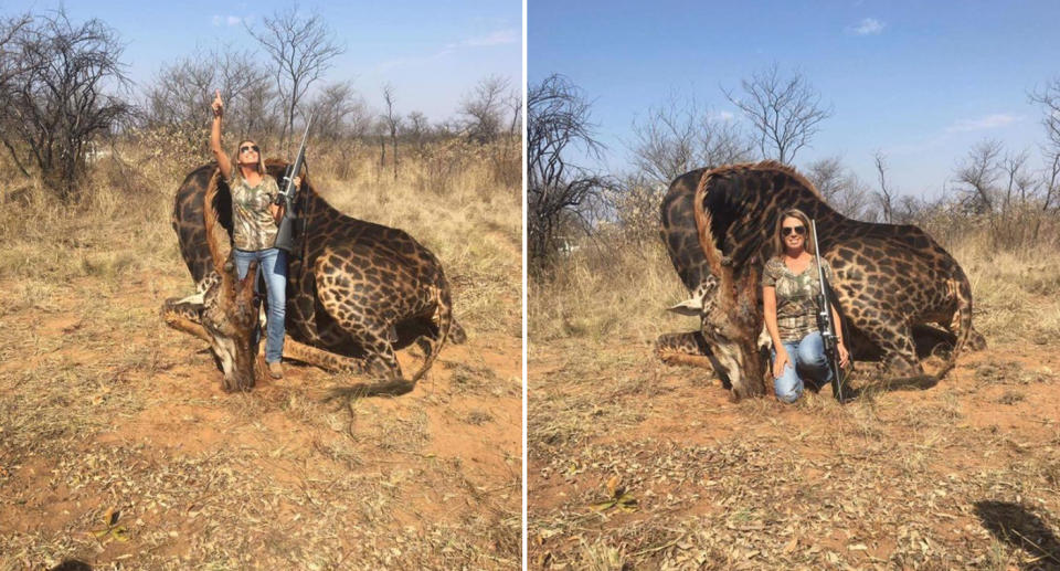 Tess Thompson Talley caused outrage after proudly posing next to the slain giraffe. Source: Twitter/Africa Digest