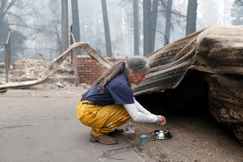 <p>Julie Atwood, a volunteer with the North County Animal Disaster Group, puts out food and water for a stray cat reported in an area destroyed by the Camp Fire in Paradise, Calif., Nov. 13, 2018. (Photo: Terray Sylvester/Reuters) </p>