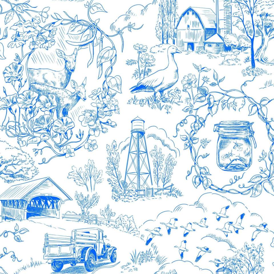 ...And now, Country Toile!