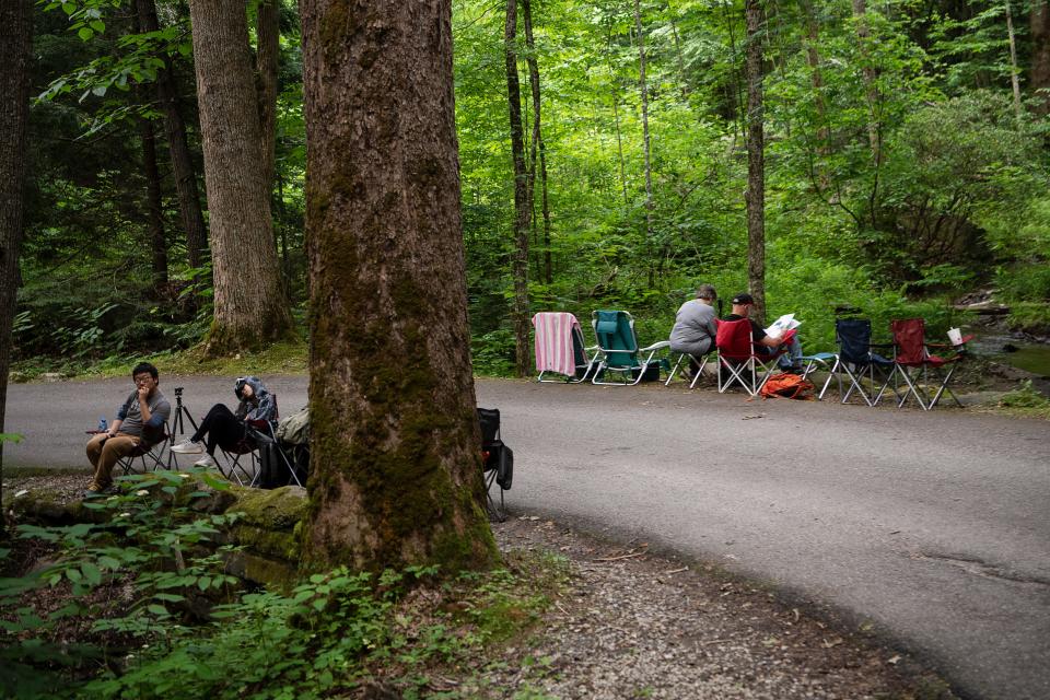Visitors get ready to watch the synchronous fireflies in Elkmont Campround Jun 6, 2022 in Great Smoky Mountains National Park.