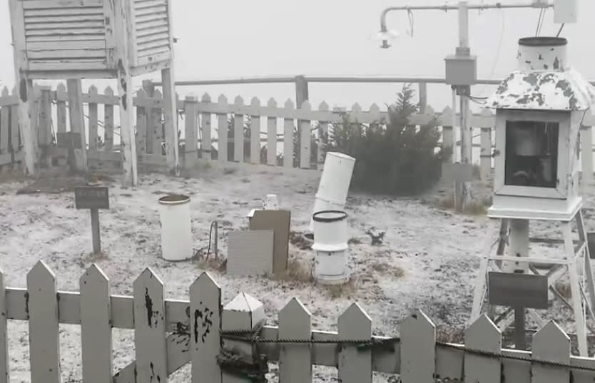 由於氣象條件不足，玉山至今仍未降雪。（下雪示意圖）   圖：中央氣象局／提供（資料照）