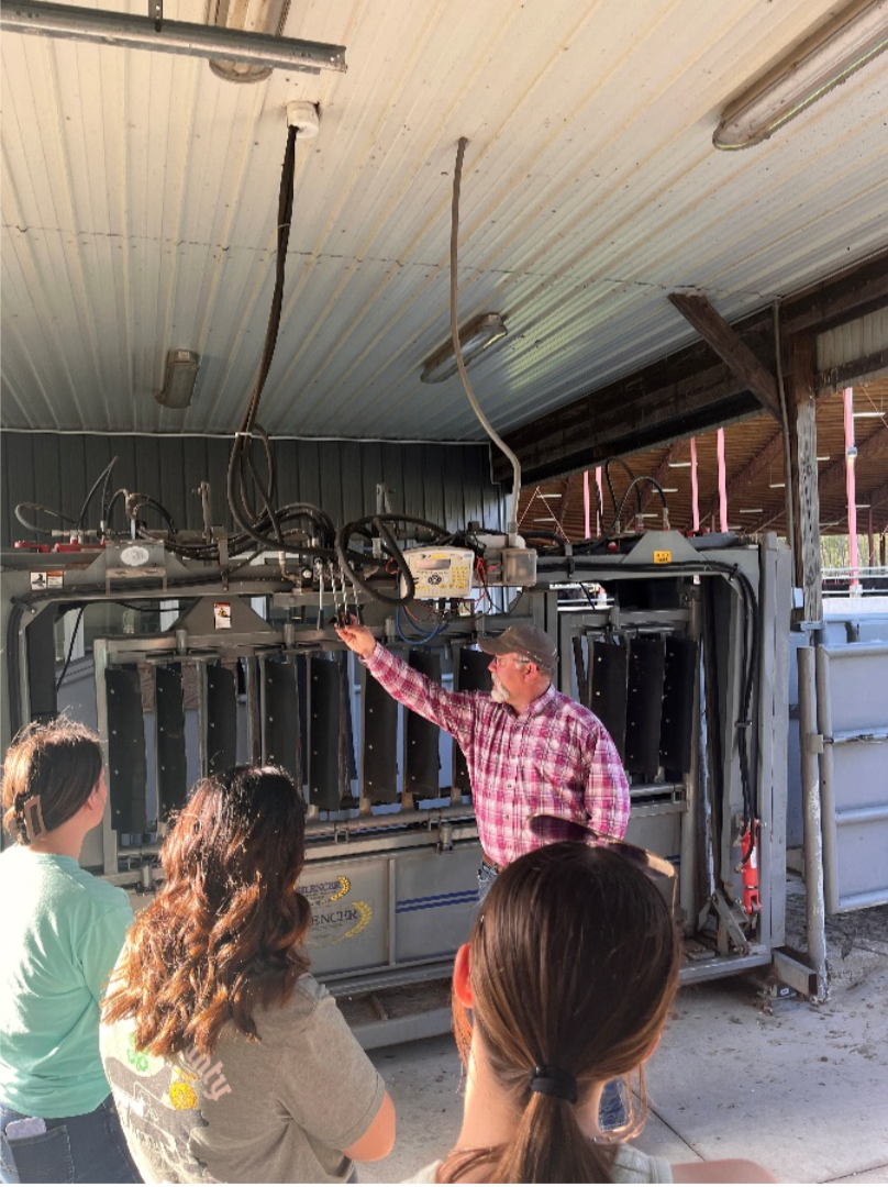Members of the Wayne County Junior Leaders tour of the beef handling facility at The Ohio State University Agricultural Technical Institute.