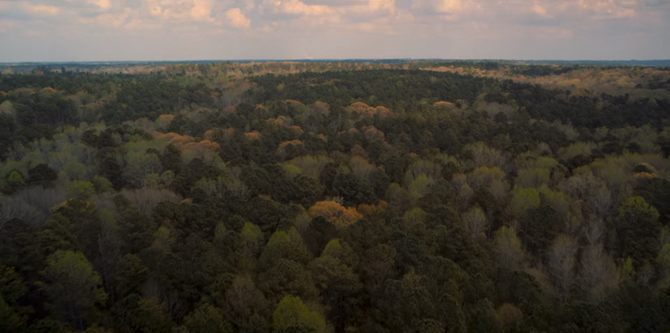 The setting of "Stranger Things," seen in Season 2, Episode 4.