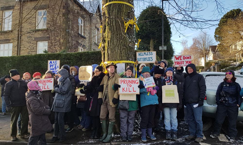 Protesters next to a rare Huntingdon elm in Sheffield, which is said to have survived Dutch elm disease.