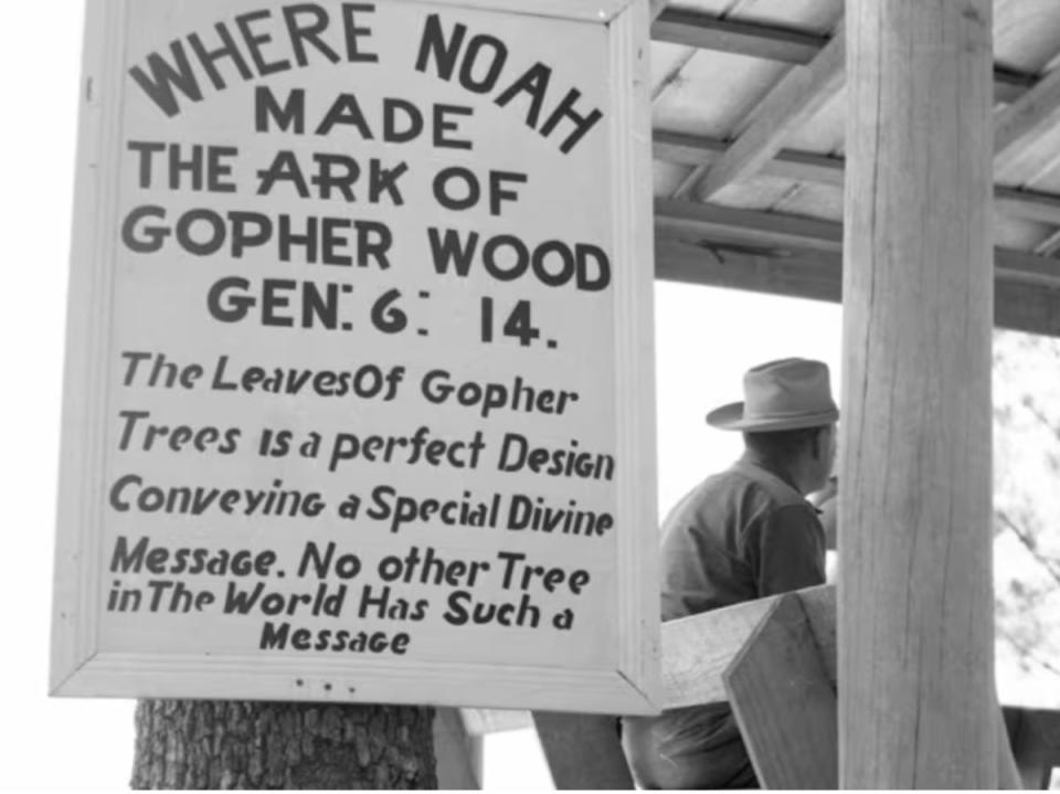 A sign at minster Elvy Callaway’s ‘Garden of Eden’ attraction claiming that Florida’s Torreya trees were used to build Noah’s Ark (Florida State Archives)