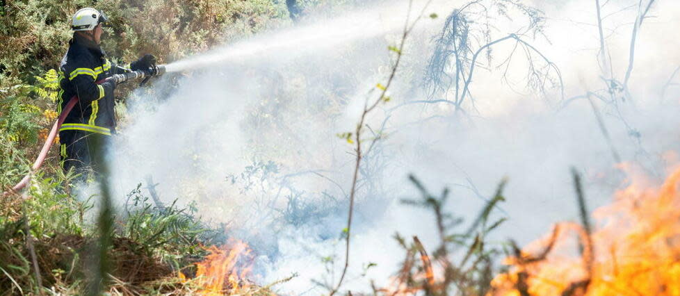 Les incendies sévissent notamment en Gironde.  - Credit:Mathieu Pattier / Ouest France / MAXPPP / PHOTOPQR/OUEST FRANCE/MAXPPP