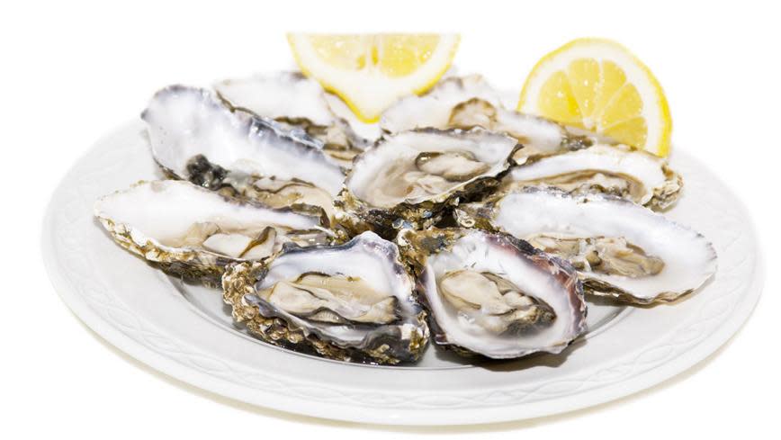 Oysters