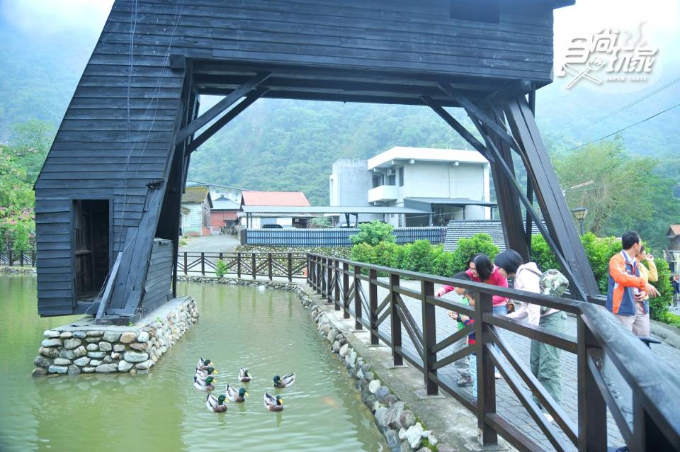 以前用來儲放木頭的池子依舊美麗，還可以在這餵餵鴨子與鯉魚。