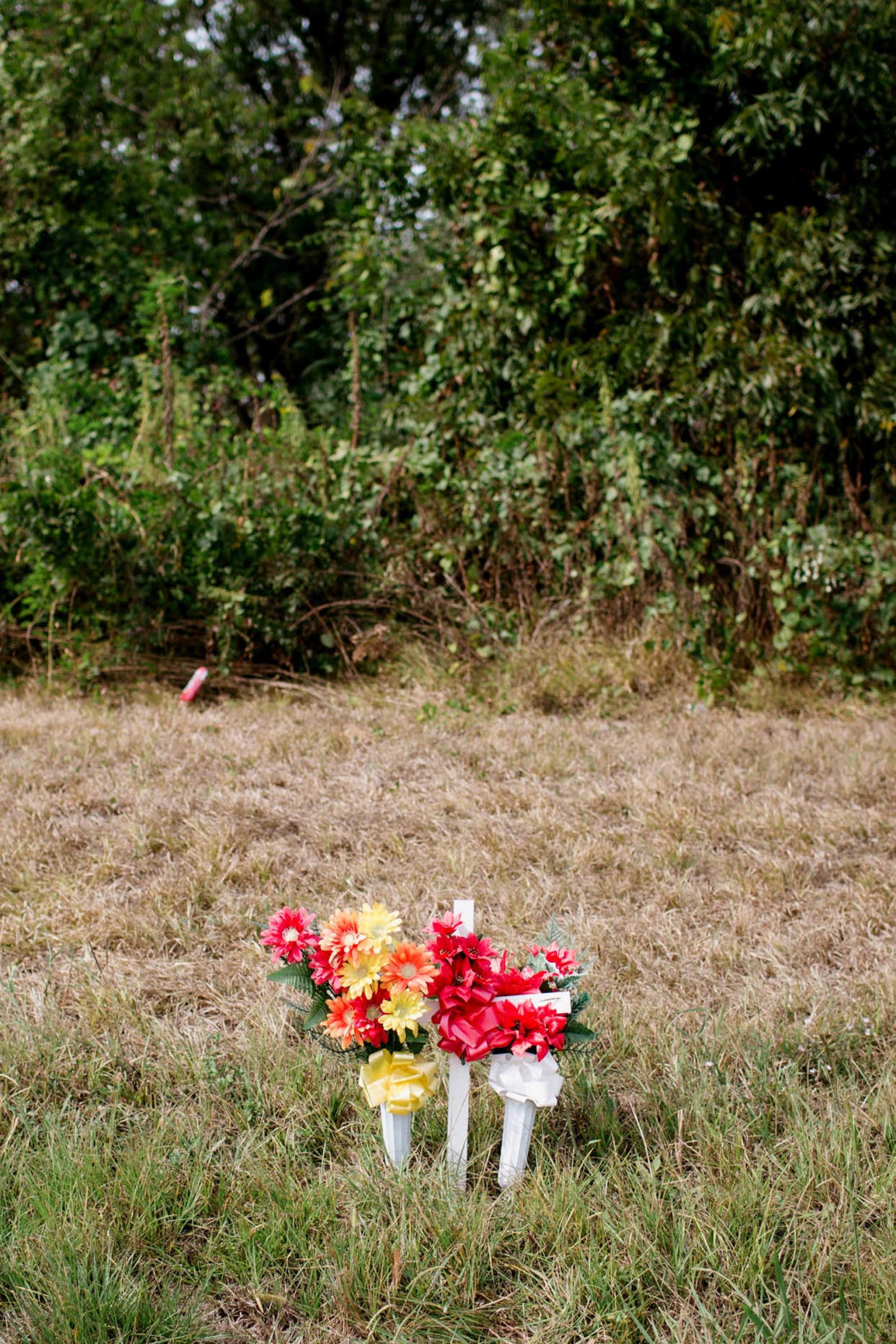 Image: Flowers near the highway road where Dexter was killed. (Ashleigh Coleman for NBC News)