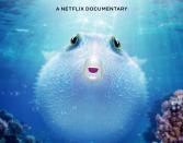 <p><strong>Release Date: </strong>December 16, 2021</p><p>For nature fans, this short documentary film will give them a glimpse into the world of a baby puffer fish living on the Great Barrier Reef. Rose Byrne narrates the hourlong feature.</p><p><a class="link " href="https://www.netflix.com/title/81276049" rel="nofollow noopener" target="_blank" data-ylk="slk:WATCH TRAILER;elm:context_link;itc:0;sec:content-canvas">WATCH TRAILER</a></p>