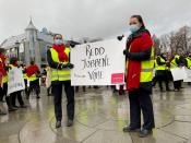 Norwegian Air crew staff demonstrate in front of the Norwegian Parliament in Oslo