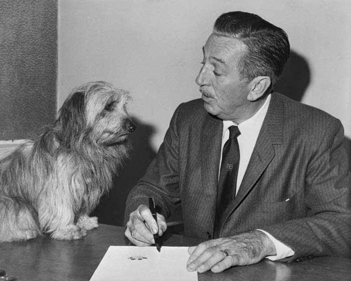 Walt Disney con uno de los perros que protagonizaban sus películas