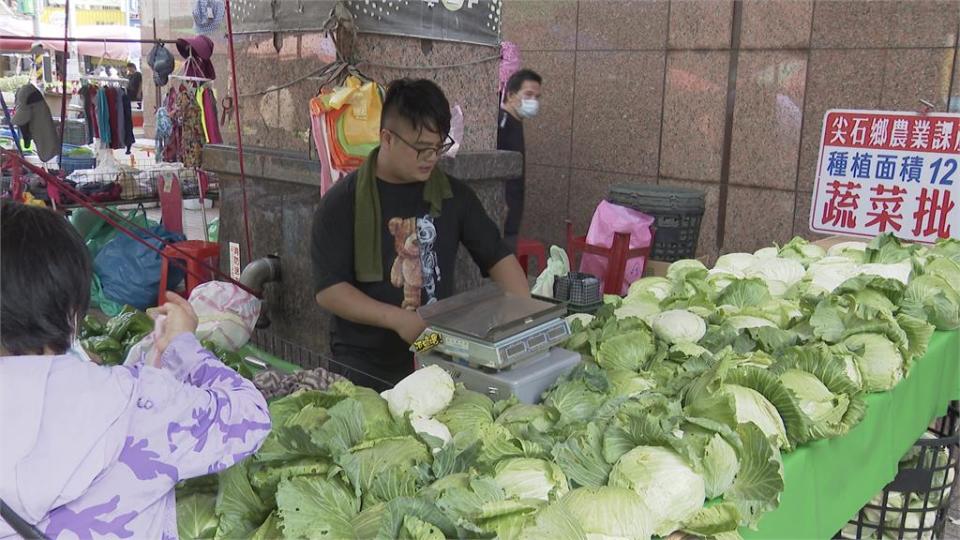 颱風重創產地！高麗菜1顆600元　農糧署釋出70噸蔬菜平穩菜價