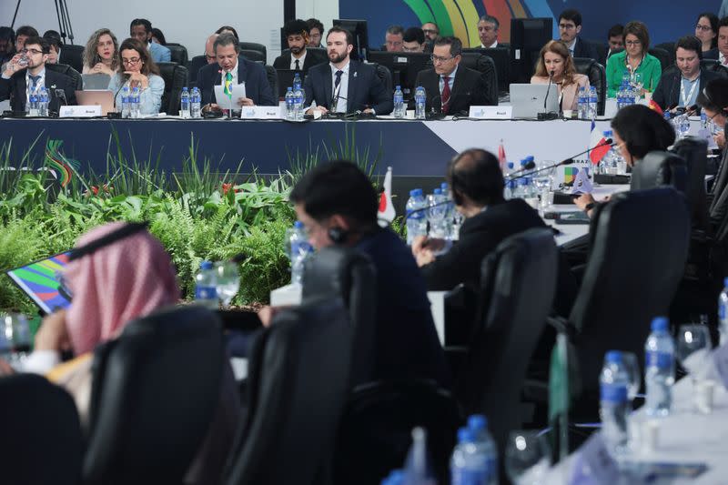 G20 Finance Ministers and Central Banks Governors' meeting, in Sao Paulo