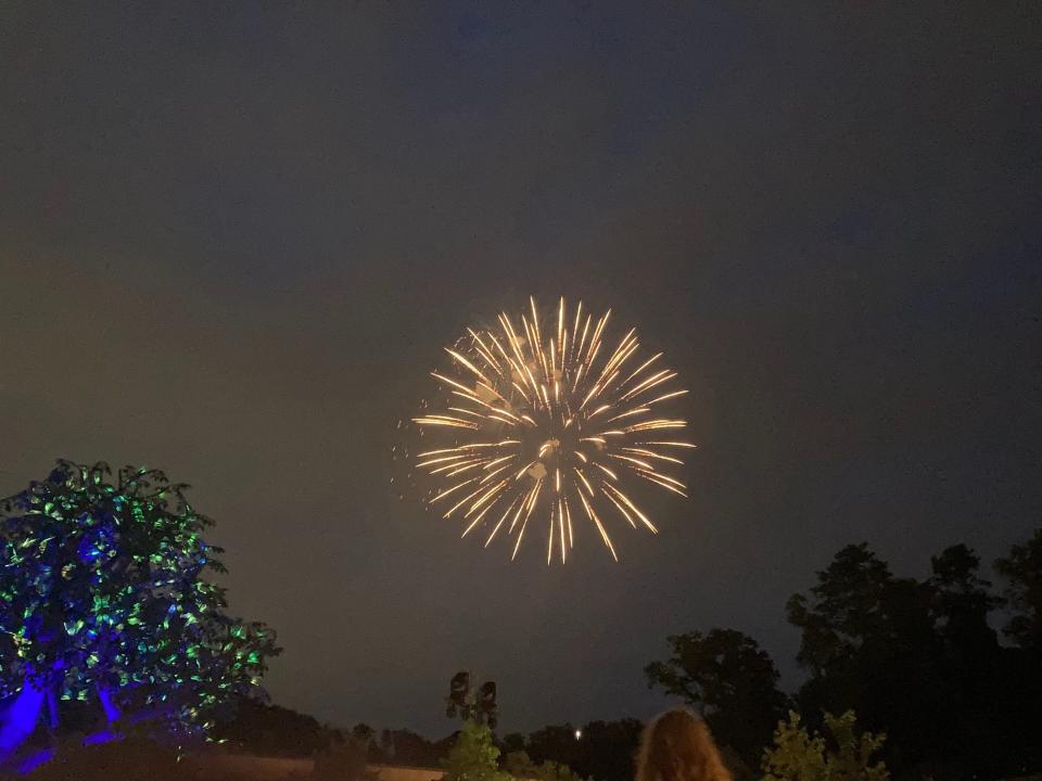 Fireworks in the night sky at Dollywood.