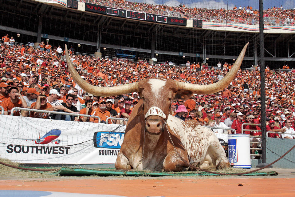 11 October 2008 - Bevo, the mascot of the Texas Longhorns, rests during the Texas 45-35 win over Oklahoma at the Red River Rivalry game played at the Cotton Bowl Stadium in Dallas, Texas. (Photo by James D. Smith/Icon SMI/Icon Sport Media via Getty Images)