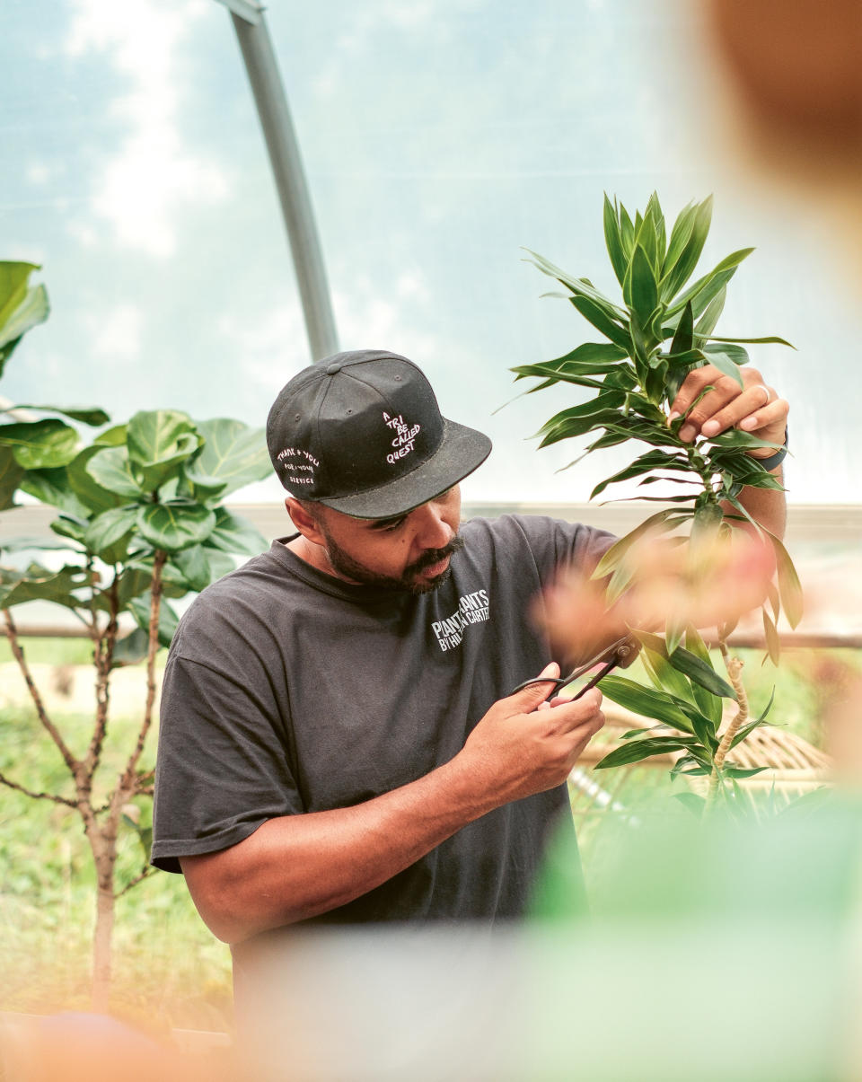 Hilton Carter tending to plants