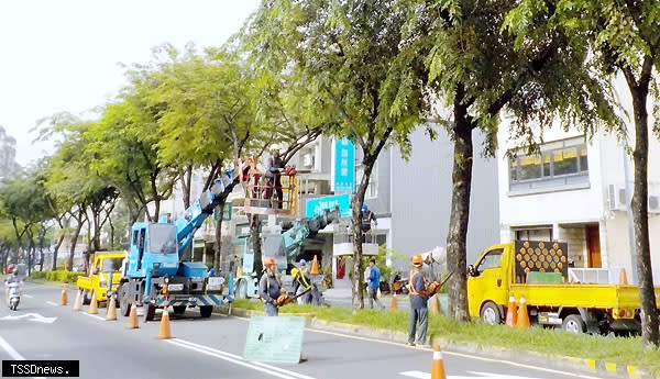 南市工務局防颱超前部署，總動員修剪路樹避免強風吹襲發生公共意外。（記者李嘉祥攝）