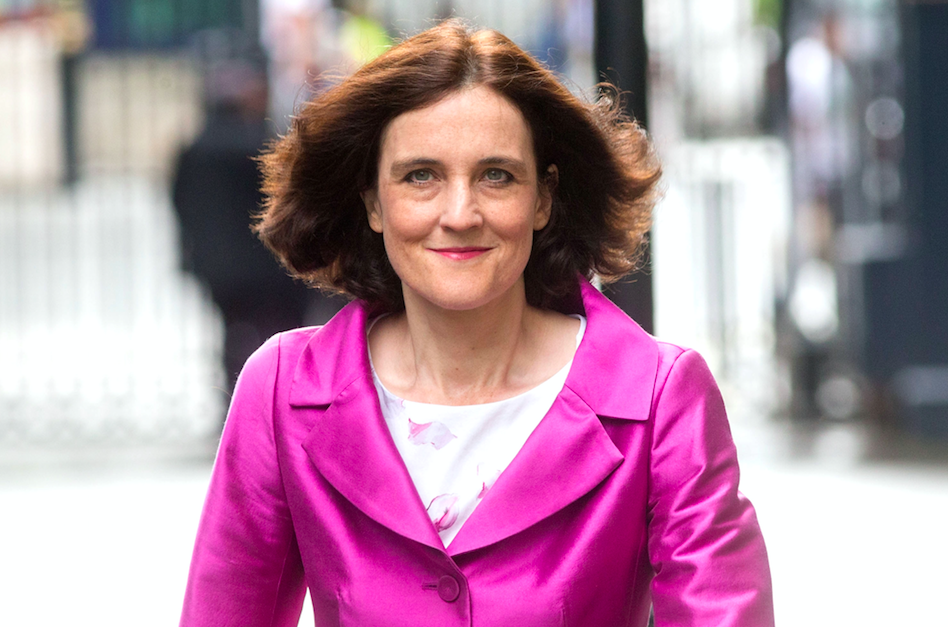 <em>Theresa Villiers is another Brexit-backer who could get the job (Rex)</em>