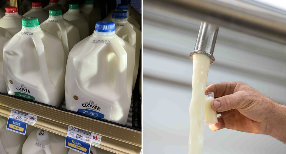 Pasteurised milk pictured on a supermarket shelf in the US as authorities warn about consuming the raw version.
