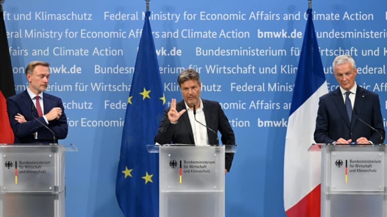Deutschland und Frankreich haben die Ankündigung einer europäischen Anti-Dumping-Untersuchung gegen China begrüßt. (John MACDOUGALL)
