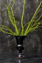 <p>Spray paint tree branches right from your backyard in an electric green hue for an easy and striking centerpiece. Finish the look with a tall black vase. </p><p><a class="link " href="https://go.redirectingat.com?id=74968X1596630&url=https%3A%2F%2Fwww.homedepot.com%2Fpep%2FVillacera-18-in-Black-Decorative-Handcrafted-Bamboo-Jar-Vase-HWD020191%2F308776579&sref=https%3A%2F%2Fwww.goodhousekeeping.com%2Fholidays%2Fhalloween-ideas%2Fg33437890%2Fhalloween-table-decorations-centerpieces%2F" rel="nofollow noopener" target="_blank" data-ylk="slk:SHOP BLACK VASE;elm:context_link;itc:0;sec:content-canvas">SHOP BLACK VASE</a></p>