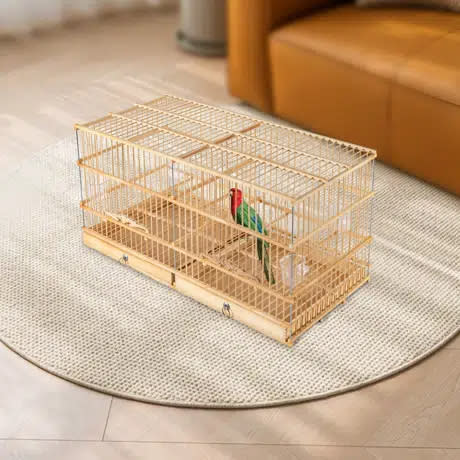 The wooden birdcage with a green and red bird inside placed on a round rug near a brown sofa