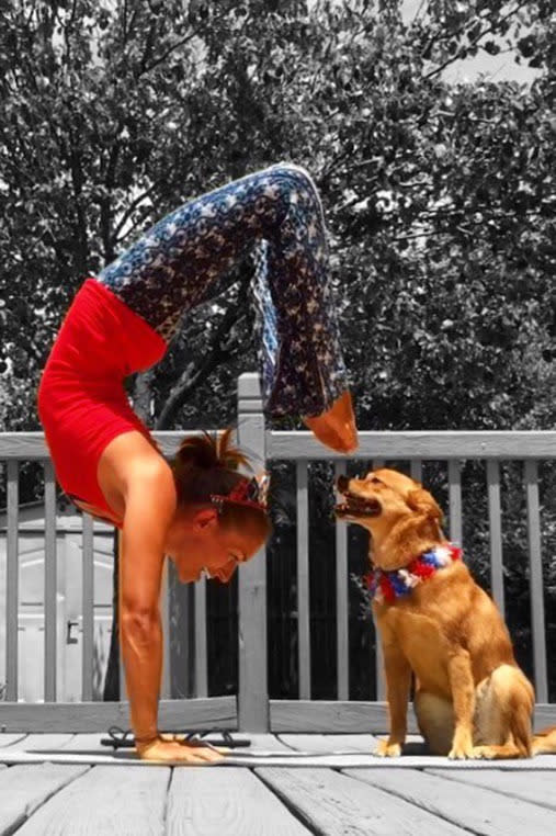 Dogs doing yoga