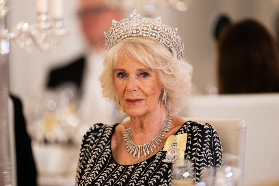 BERLIN, GERMANY - MARCH 29: Camilla, Queen Consort attends a State Banquet at Schloss Bellevue, hosted by the President Frank-Walter Steinmeier and his wife Elke Büdenbender on March 29, 2023 in Berlin, Germany. The King and The Queen Consort's first state visit to Germany will take place in Berlin, Brandenburg and Hamburg from Wednesday 29th March to Friday 31st March 2023. The King and Queen Consort's state visit to France, which was scheduled March 26th - 29th, has been postponed amid mass strikes and protests. (Photo by Samir Hussein/WireImage,)