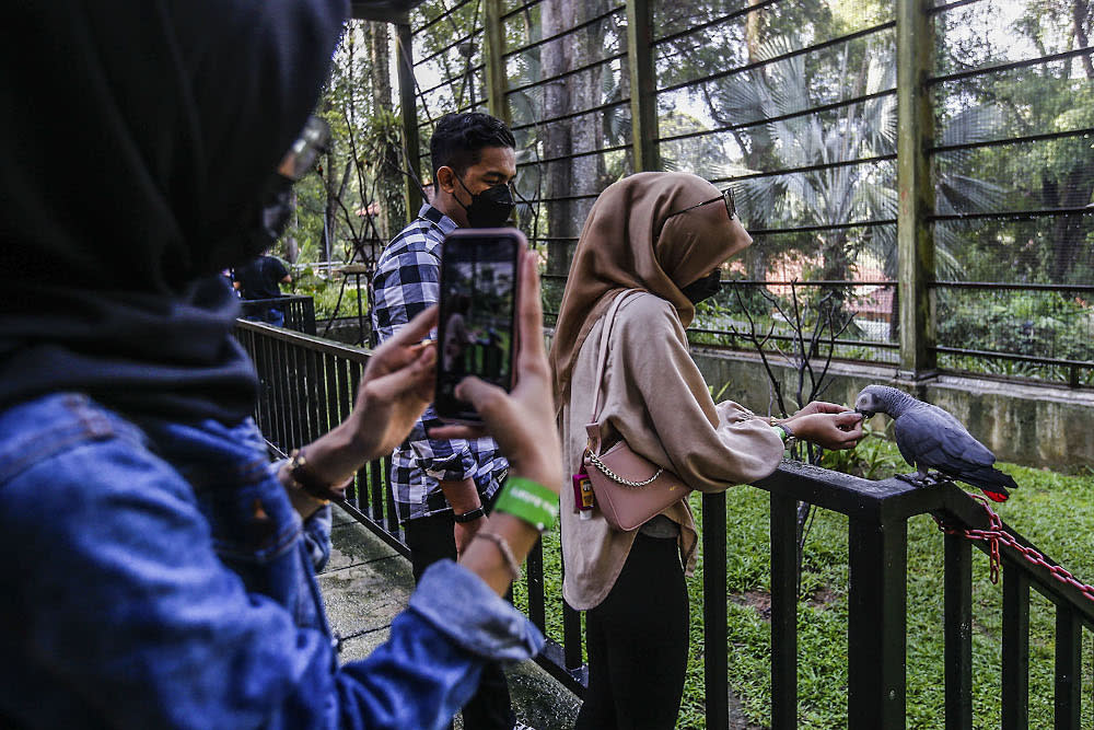 A visitor feeds a bird at the Kuala Lumpur Bird Park following Kuala Lumpur’s move to Phase Four of the National Rehabilitation Plan on October 19, 2021. ― Picture by Hari Anggara