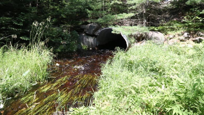 Rising waters, red tape choke off Yarmouth County man's land