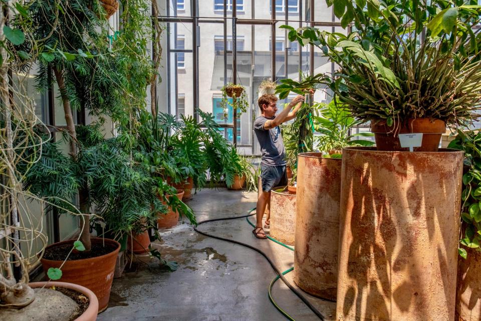Wes Noe, a graduate student in Water Studies at the University of New Mexico, tends to plants in the campus greenhouse.
